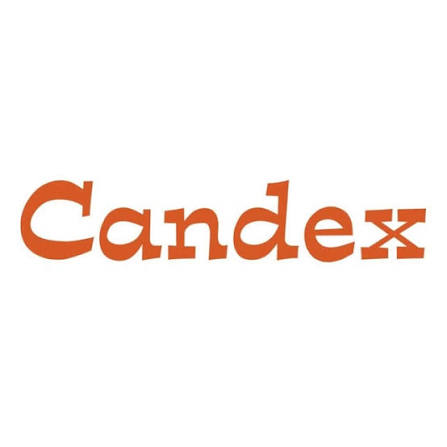 Logo de CANDEX